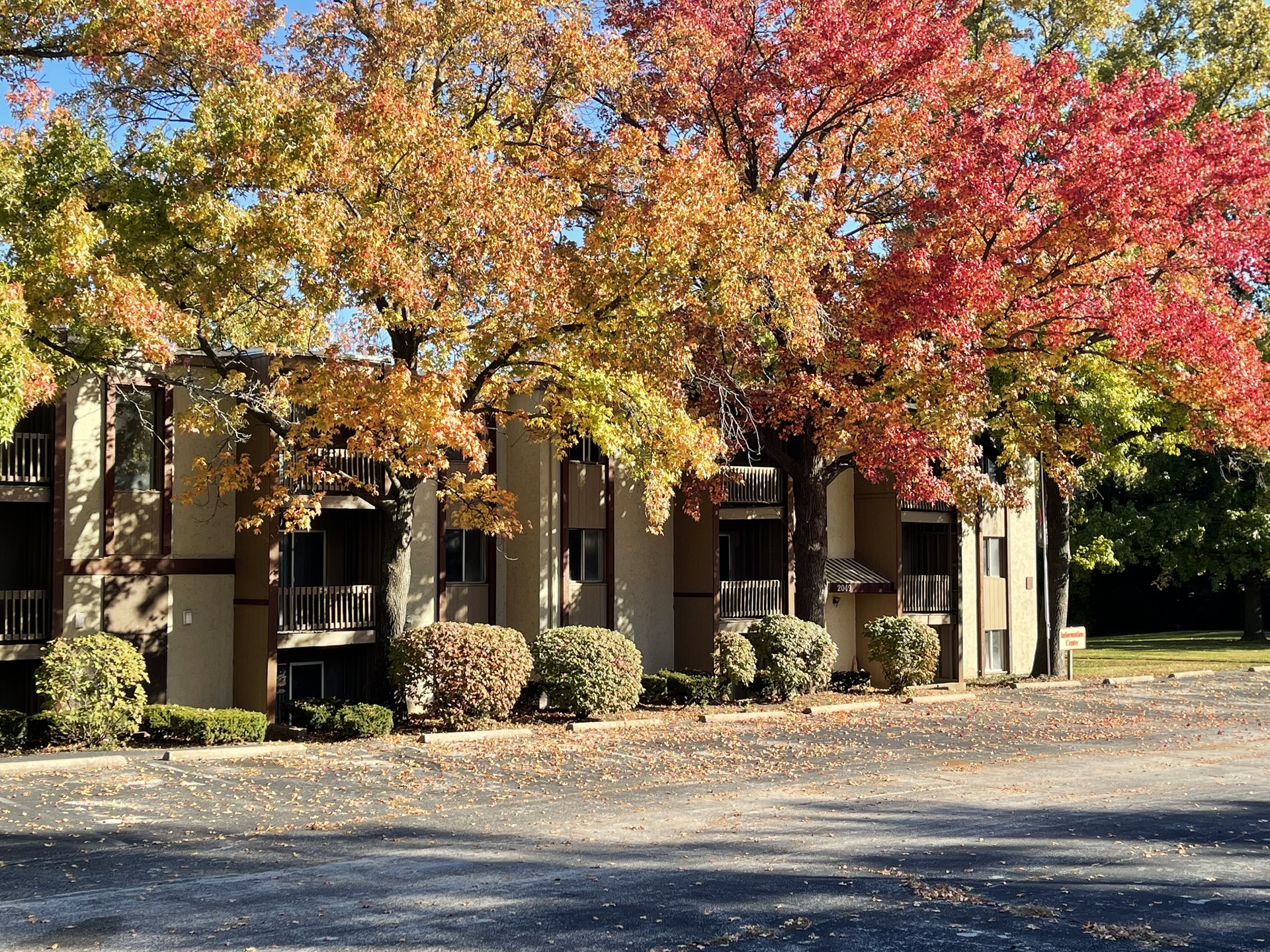 Park Pointe Apartments exterior in St. Louis, MO