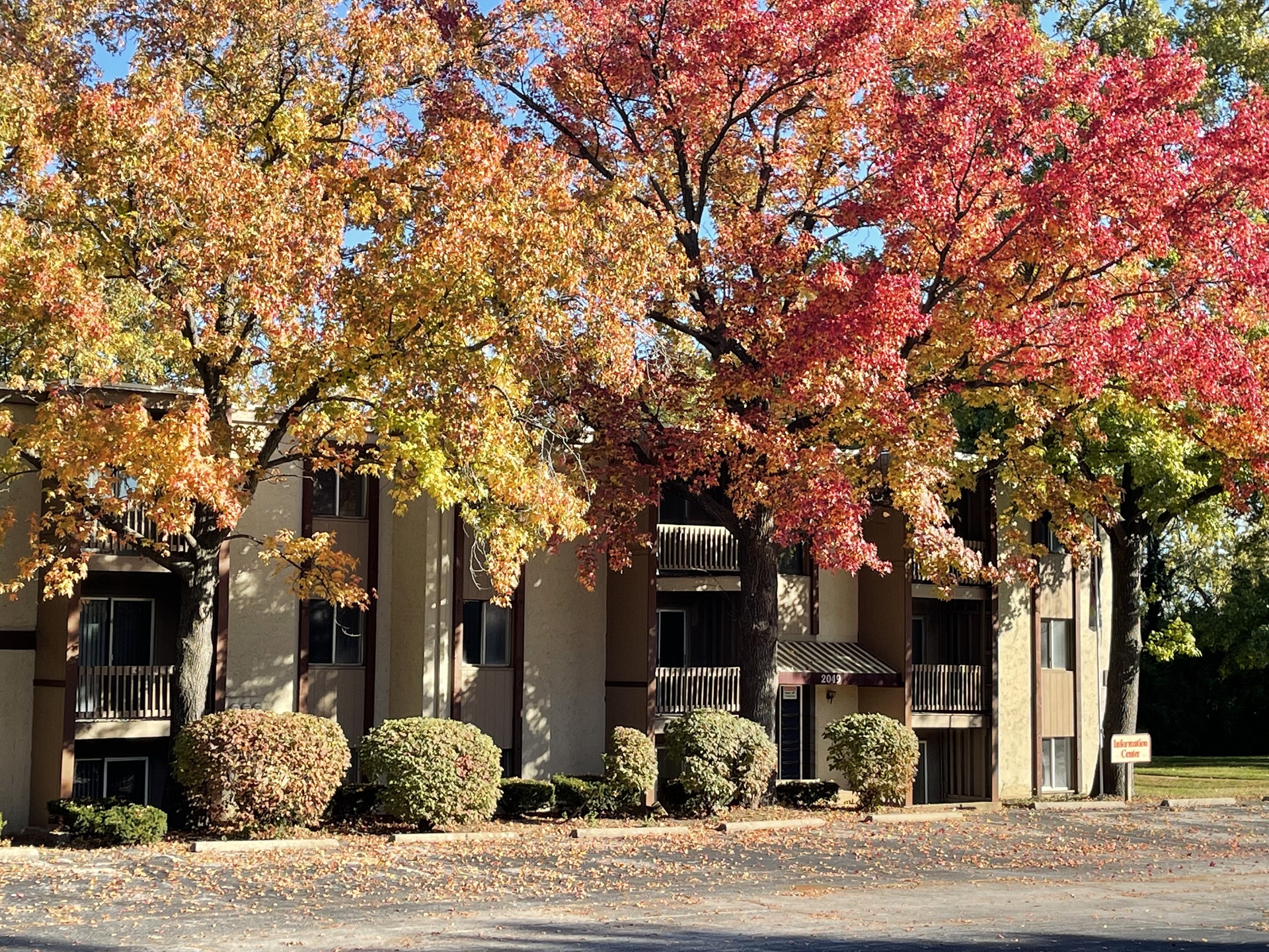 Park Pointe Apartments exterior in St. Louis Missouri