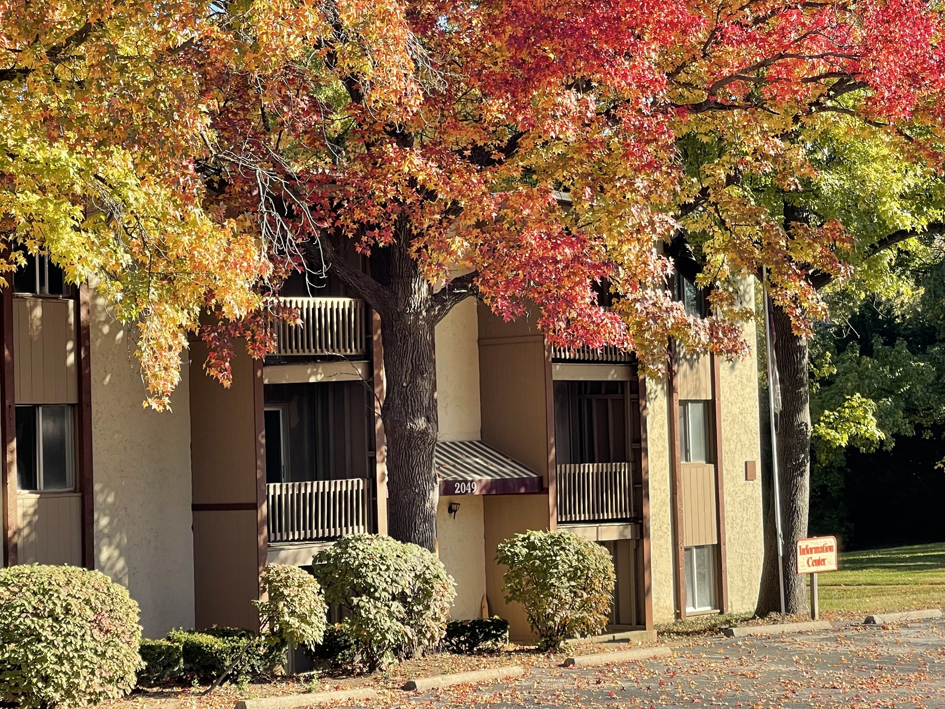 Park Pointe Apartments exterior in St. Louis, MO